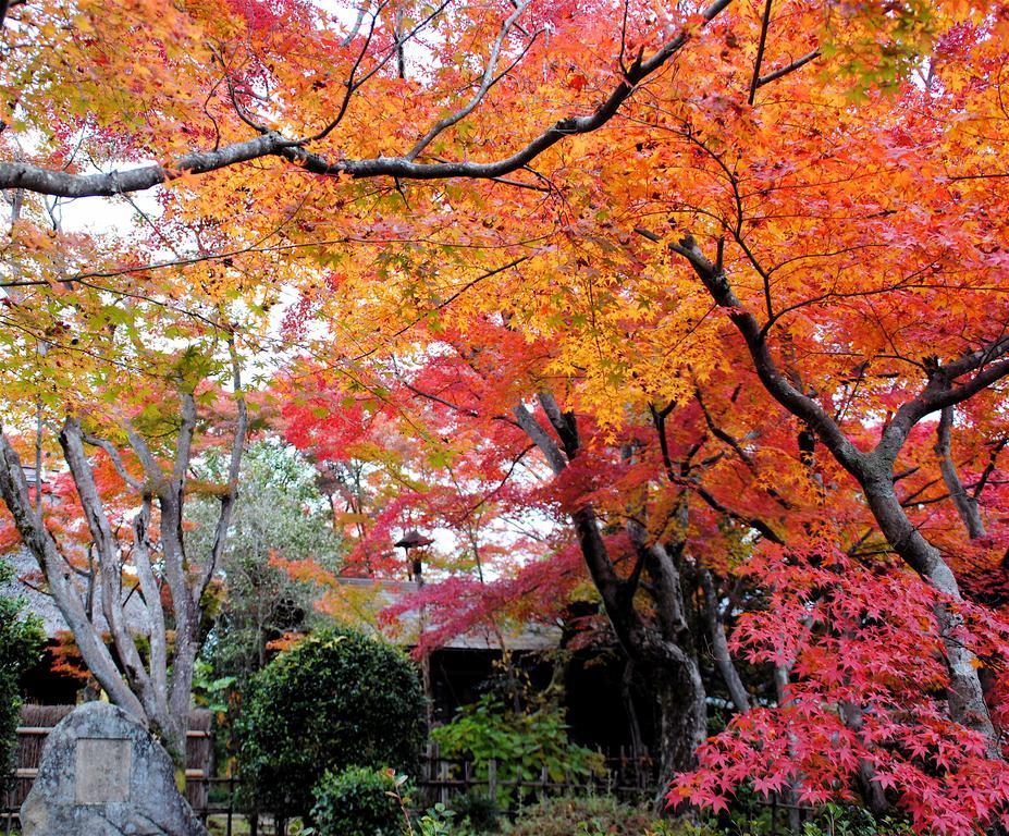 Hotel Nagataki Nakatsugawa Exterior foto
